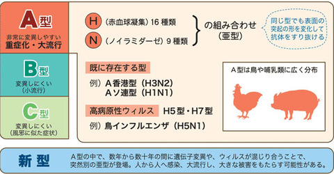 名称未設定-11