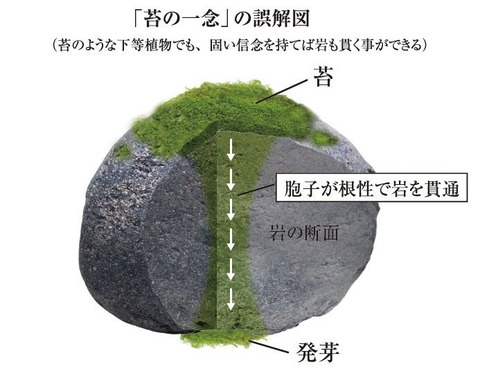 ウサコッツさんの一念、岩をも通す