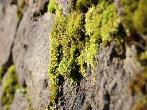 IMG_3946_R