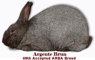 argent_brun