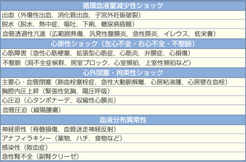 【診断】うさぎの転落したときの診断方法