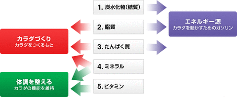 食事について考える　-筋力をあげる食事と太りにくい食材-