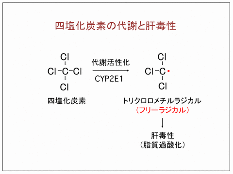 trichloromethylradical