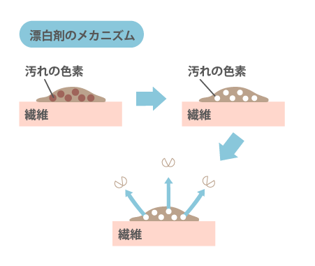 Rakuna 整体ネックポール Euridis Formation Continue Com
