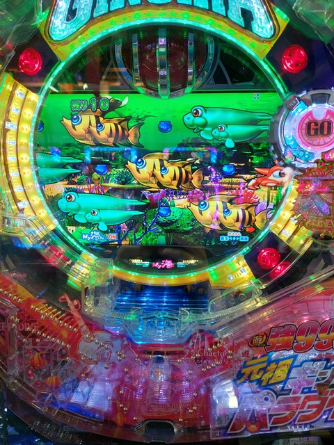 20230524_112630