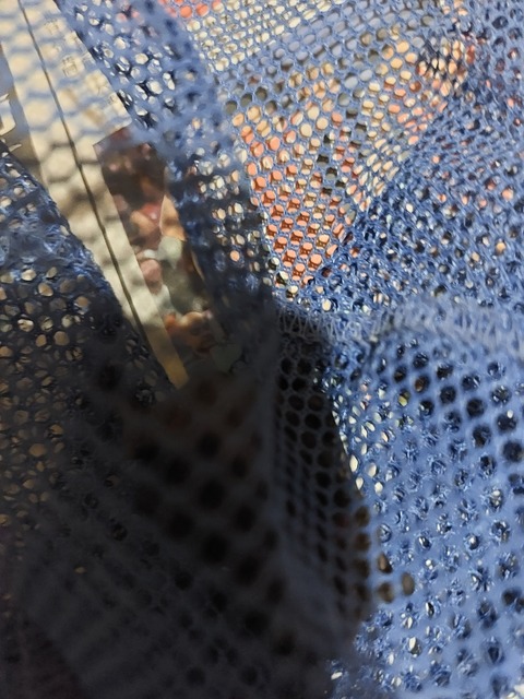 20240801_202117