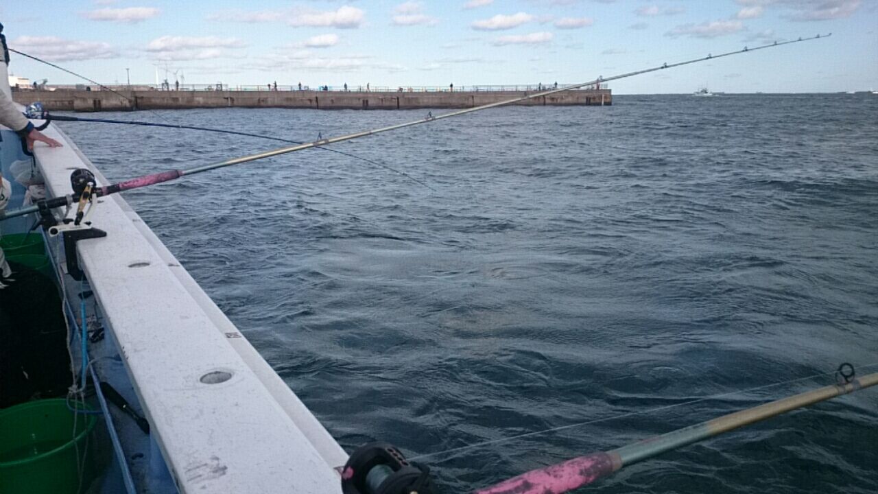 16 11ヒラメ 房総 船釣りブログ 16 11ヒラメ 房総 船釣りブログ