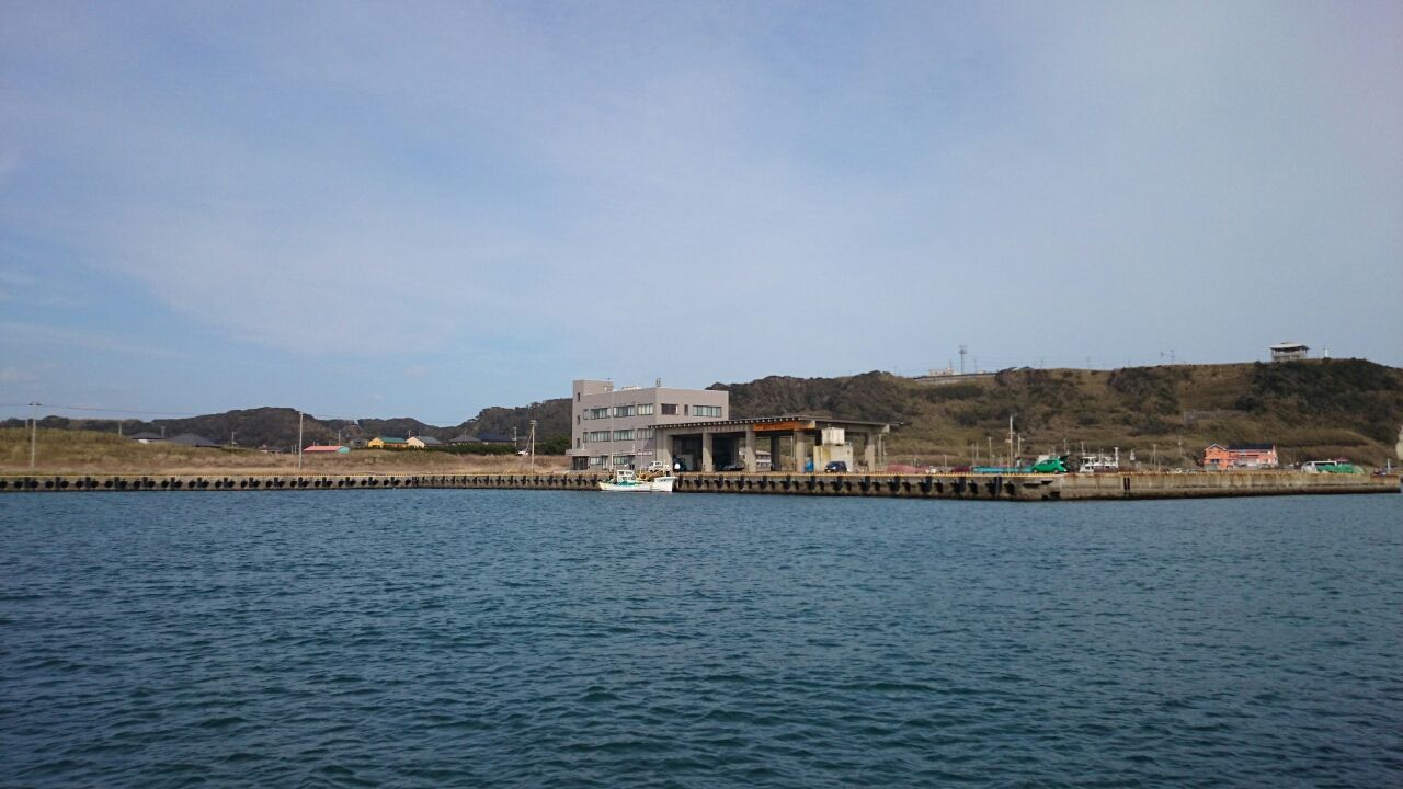 17 3ヤリイカ 房総 船釣りブログ