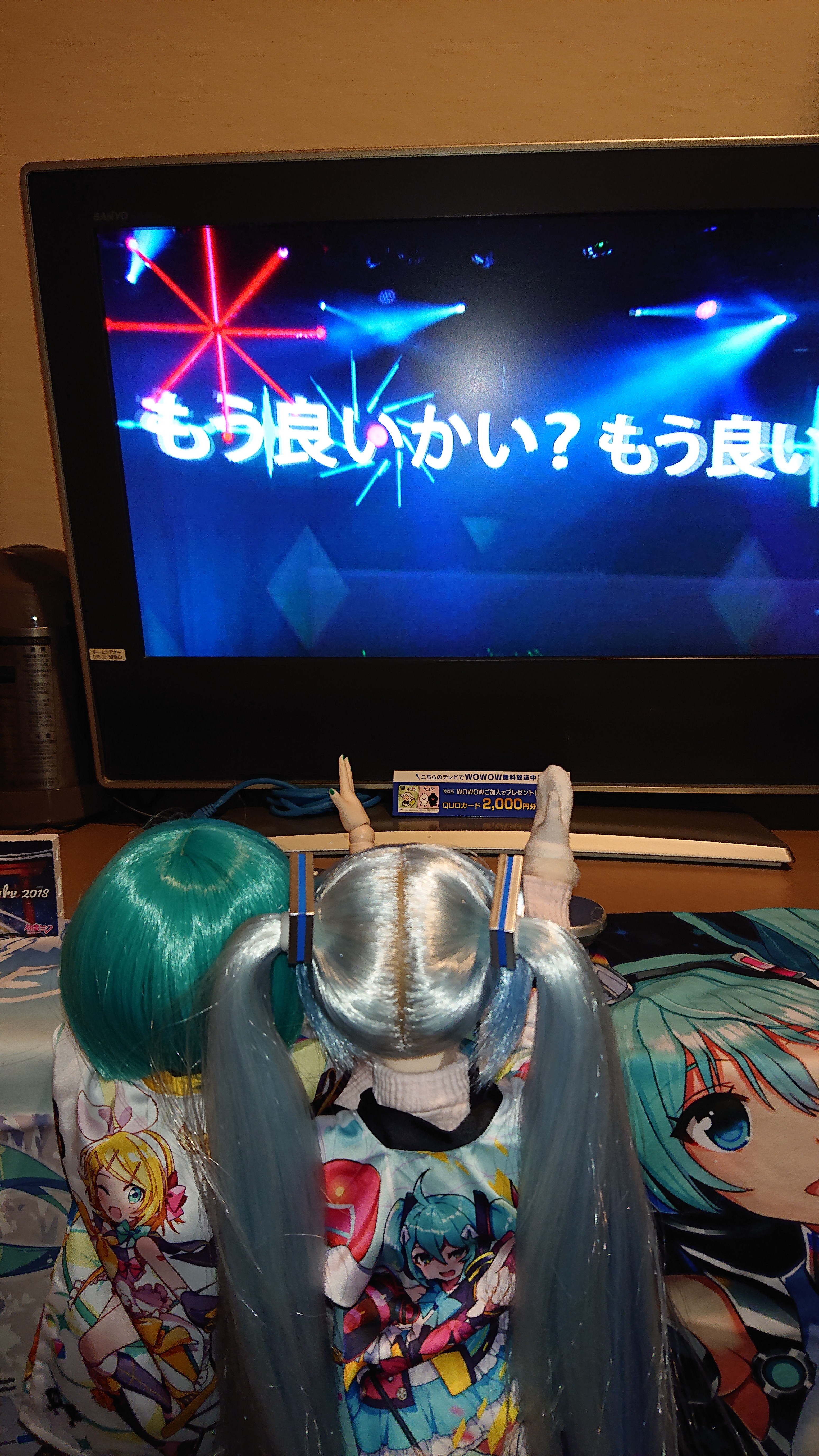 Wowowを見る為だけにルートインに泊まる男 その2 1819 ビートル日記 Wowowを見る為だけにルートインに泊まる男 その2 1819 ビートル日記