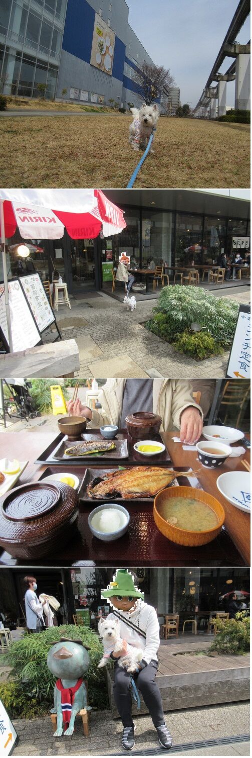 立川ランチ 巻き毛のウエスティー Next