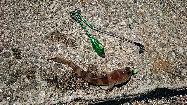 エアーシンカー Vs 立つ天秤スマシュ オレンジマンのつれない日々