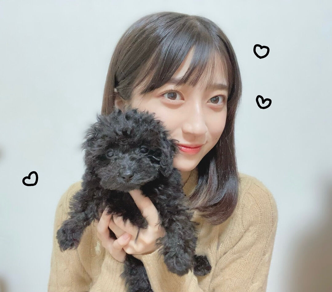 田代すみれ 家族が増えました ハロプロメモ