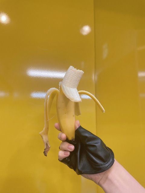 o1080144015092496910