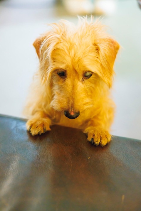 o1080161815320092672