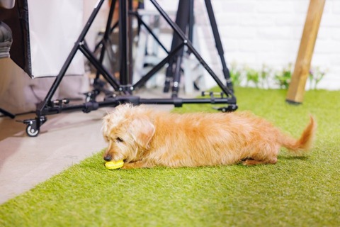 o1080072015320092662