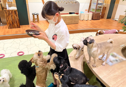 o1080074415157941826