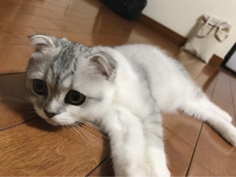 o1080081114228147676