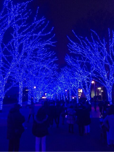 o0480064114092997740