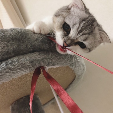 o1080108014240922923