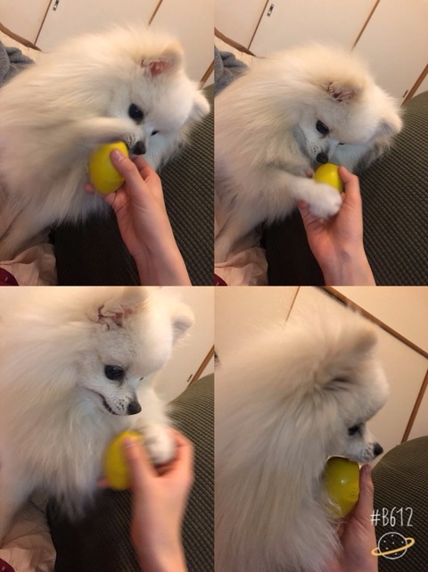 o0809108014361867441