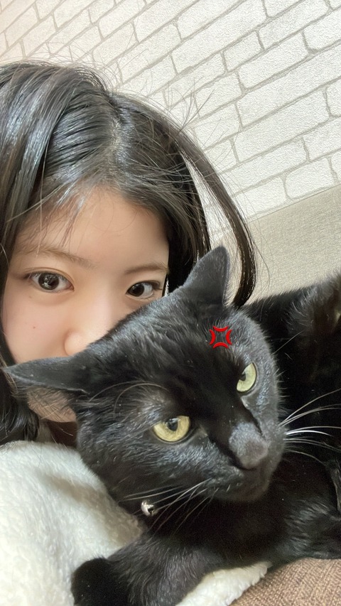 o1080192015419279523