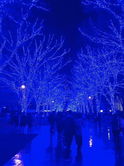 o1108147814322496829