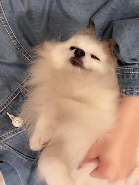 o0811108014397689104