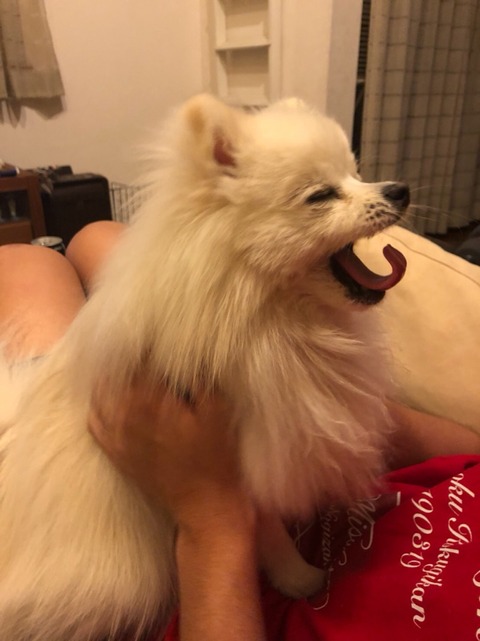 o0809108014397689111