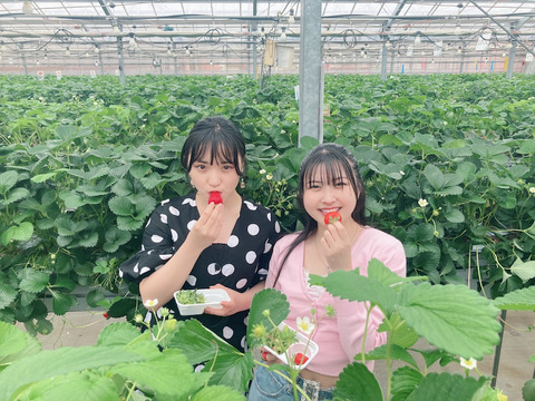 o1080081015123751645