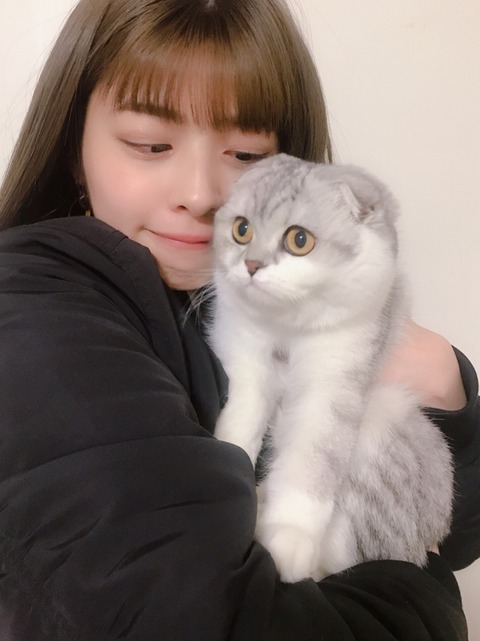 o0809108014379342232