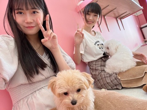 o1080080915323477629