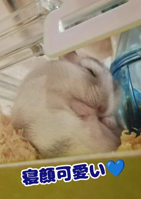 o0769108015462227883