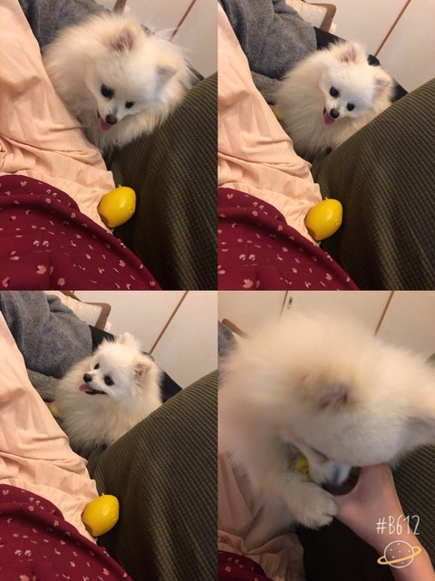 o0809108014361867421