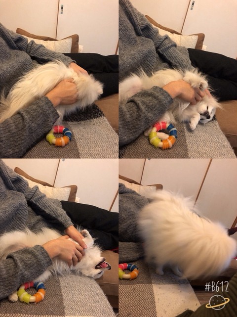 o0809108014361867408