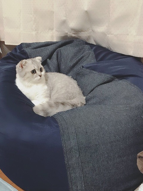 o0783104414238819608