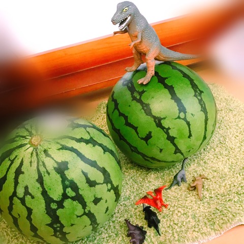 o1028102814327168495