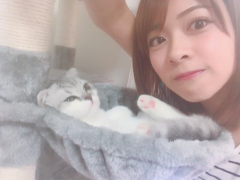 o0994074614240329350