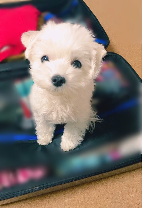 o0850124214347207038