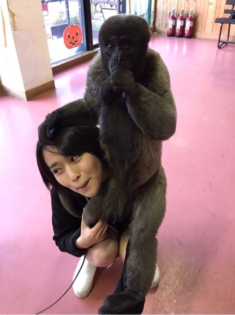 o0480064113801164491