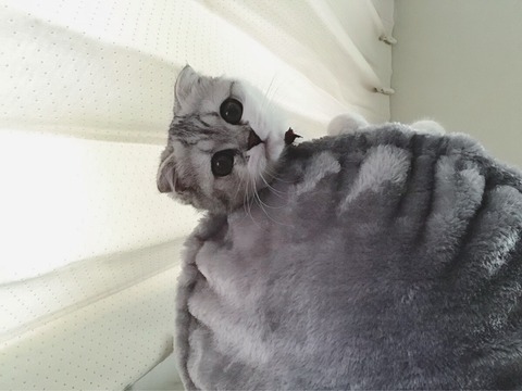 o1080081014238819593