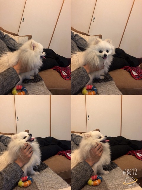 o0809108014361867392