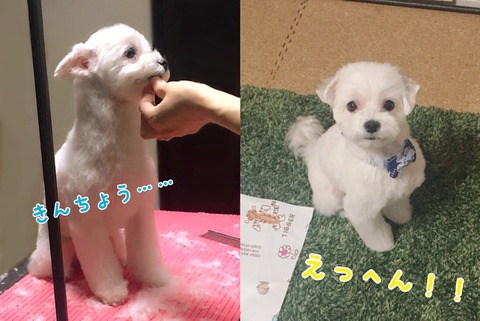 o1258084014347207042