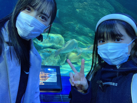 o1080081015043945246