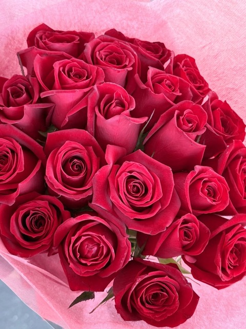 o1080144015740301492