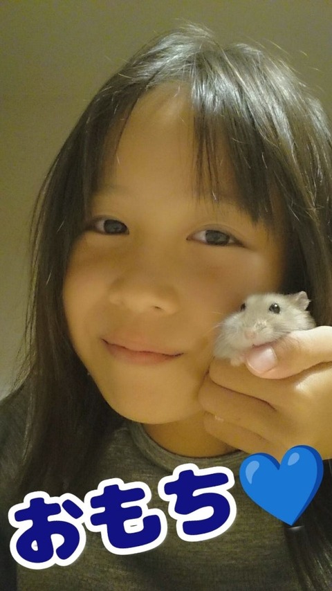 o0607108015462227880