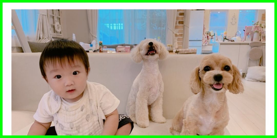 辻希美 ３人 Shot 19 08 23 定 癒してアップフロント