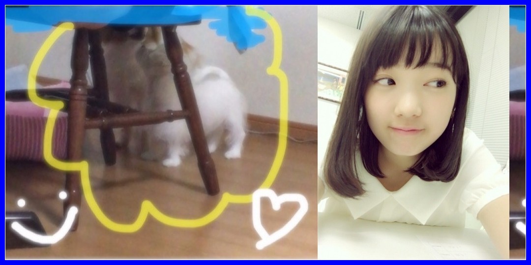 つばきファクトリー