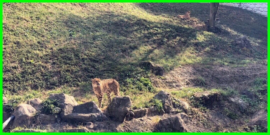 夏から秋への不思議な旅です 島倉りか