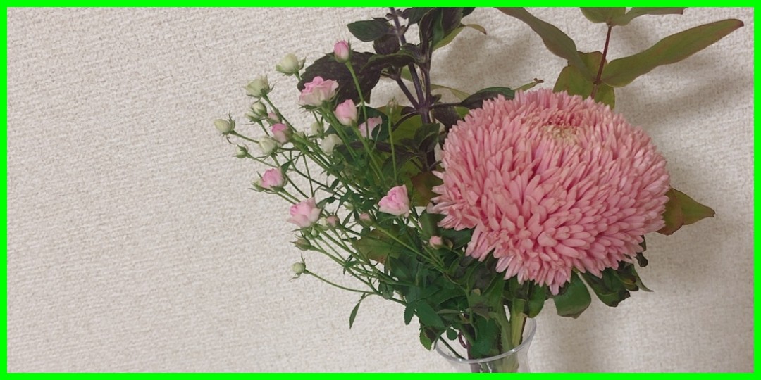 家具。高木紗友希