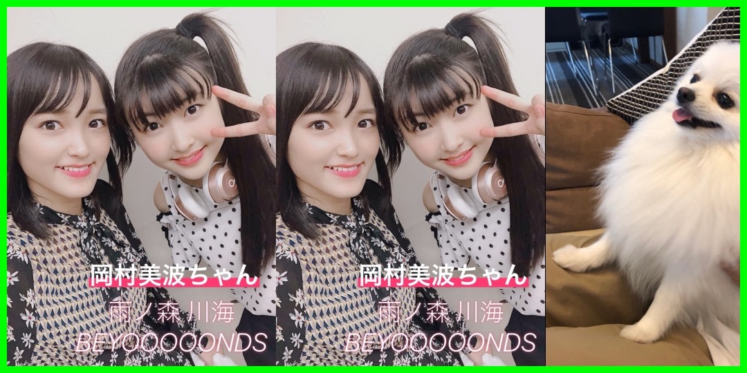 面白かった!!野村みな美